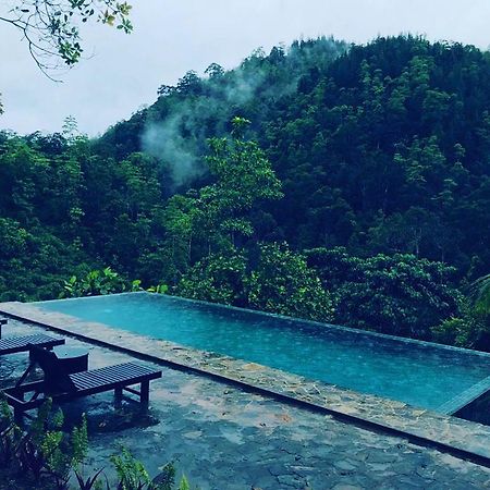Jansen'S Bungalow Sinharaja Rainforest Retreat Kudawe 외부 사진