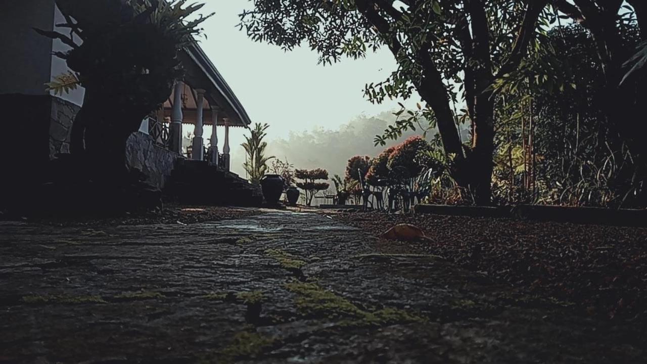 Jansen'S Bungalow Sinharaja Rainforest Retreat Kudawe 외부 사진