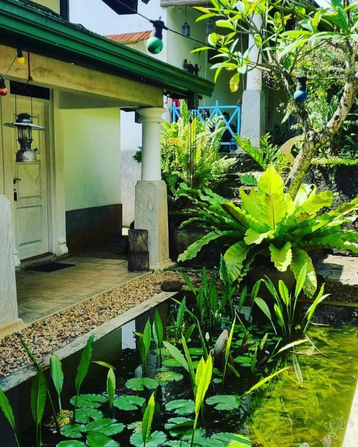 Jansen'S Bungalow Sinharaja Rainforest Retreat Kudawe 외부 사진