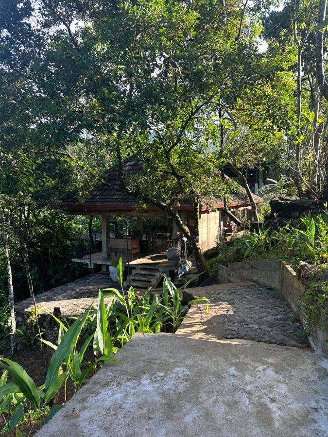 Jansen'S Bungalow Sinharaja Rainforest Retreat Kudawe 외부 사진
